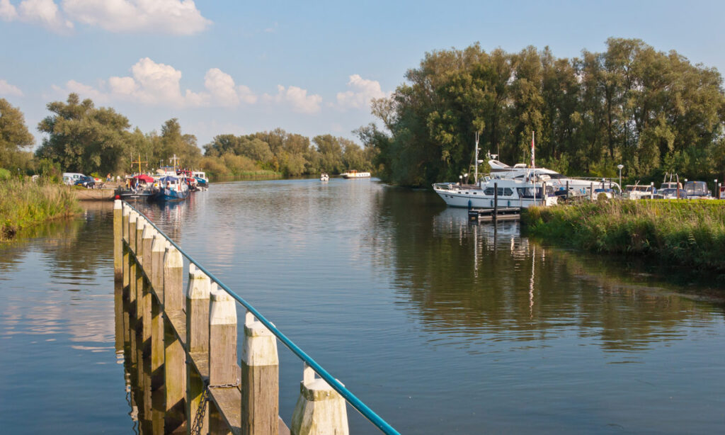 Nationaal Park De Biesbosch