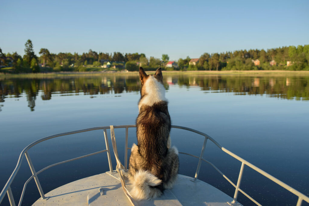 met hond overnachten op een motorboot